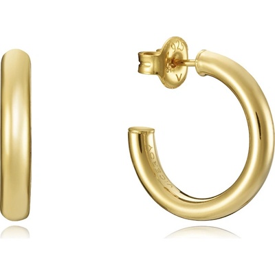 Viceroy náušnice 13060E100-06