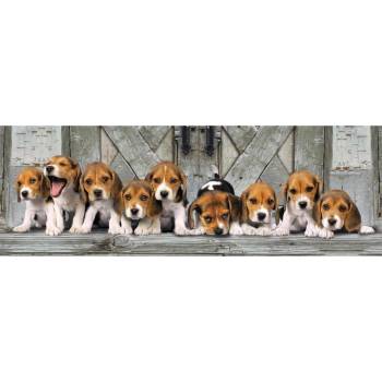 Image 1 of Clementoni - Puzzle Beagles panoráma - 1 000 piese