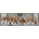Clementoni - Puzzle Beagles panoráma - 1 000 piese