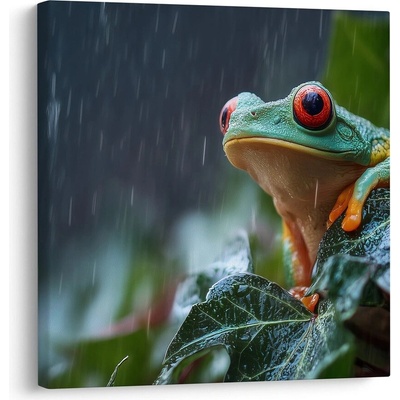 Obraz dešťová kapka na listu žáby - 50x50