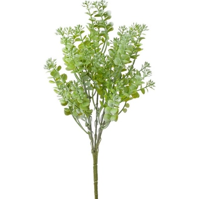 ZELEŇ DROB. LÍSTKY POPRÁŠ. ZELENÁ 36CM