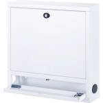 Techly ICRLIM04W2 19" Анти-кражба Стенен шкаф за лаптоп с рафт - Бял (ICRLIM04W2)