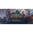 Pillars of Eternity 2: Deadfire (Obsidian Edition)