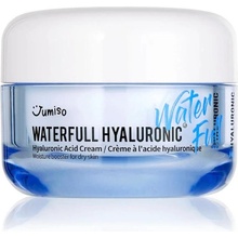 Jumiso Waterfull Hyaluronic Cream 50 ml