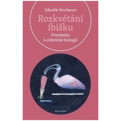 Rozkvétání ibišku - Zdeněk Neubauer