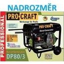 PROCRAFT DP80/3