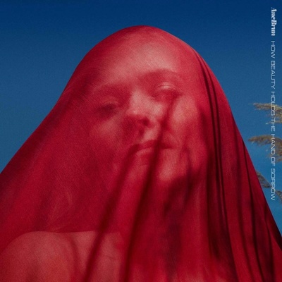 Ane Brun - HOW BEAUTY HOLDS THE HAND OF SORROW CD