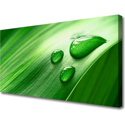 Obraz na plátně List Voda Kapka 100x50 cm