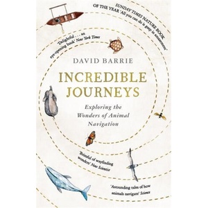 Incredible Journeys | David Barrie (ISBN: 9781473656857)