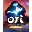 Hry na PC Ori and the Blind Forest