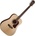 Washburn Heritage HD10S