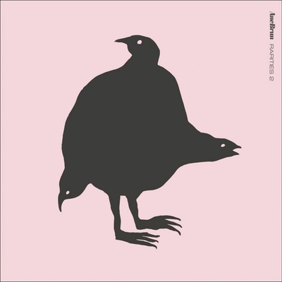BRUN, ANE - RARITIES 2 CD