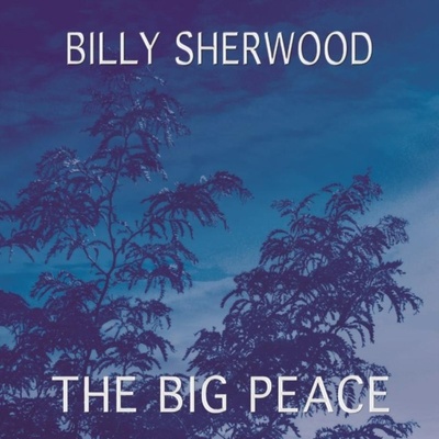 Sherwood Billy - Big Peace CD