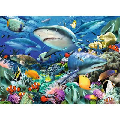 Ravensburger - Puzzle Shark Reef 100 XXL - 100 piese