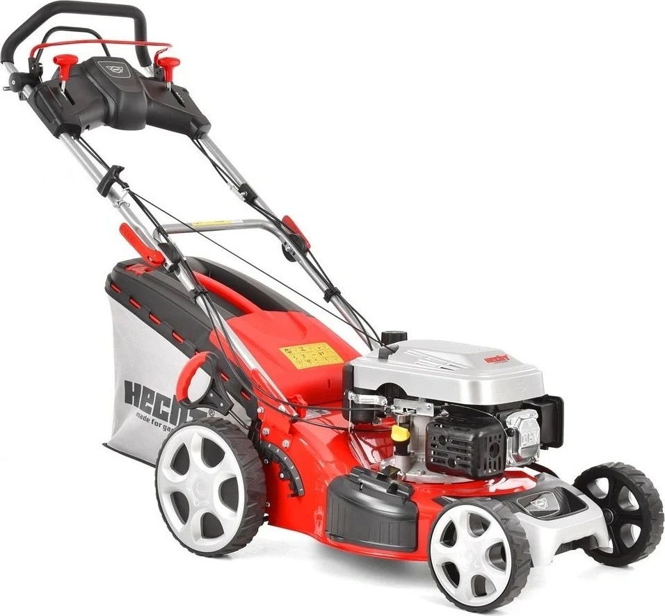 HECHT 5484 SX