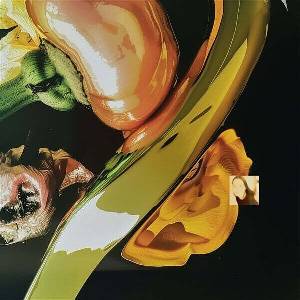 Pablo's Eye - The Light Was Sharp, Our Eyes Were Open (LP) (8721018015177)