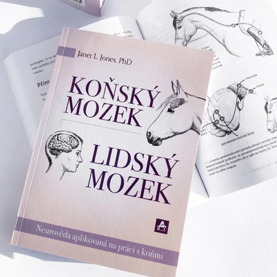 Koňský mozek – lidský mozek (Janet L. Jones)