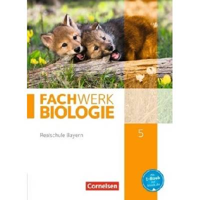 5. Jahrgangsstufe, Schülerbuch