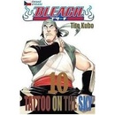 Bleach 10