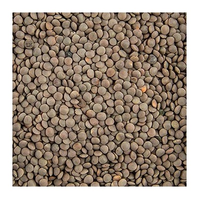 Bos Food Malá hnědá čočka 5 kg