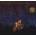 Gregory Alan Isakov - This Empty Northen Hemisphere (LP) (667928015617)