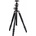 Vanguard Alta 234 AP