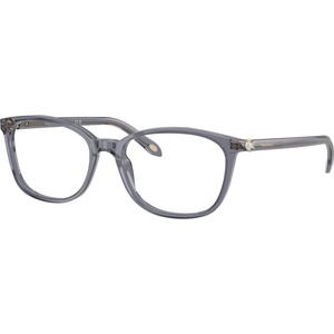 Tiffany & Co TF2109HB 8405