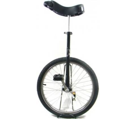 Trainer Standard 20"