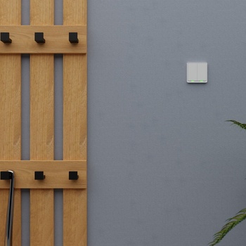 TESLA Smart Switch Dual TSL-SWI-WIFI2