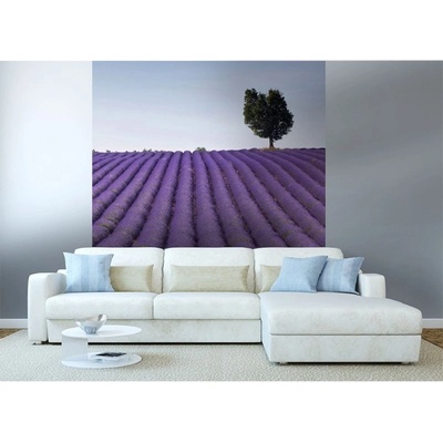 Dimex MS-3-0088 vliesová fototapeta na zeď Levandulové pole rozměry 225 x 250 cm