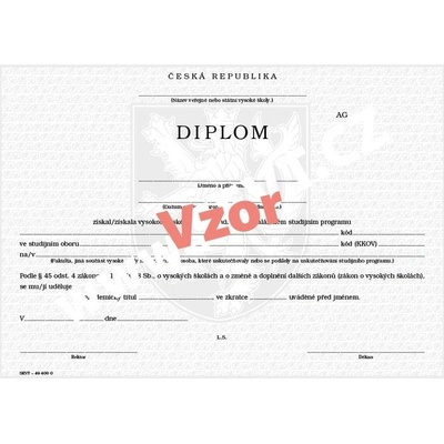 Diplom bakalářský – Zboží Dáma