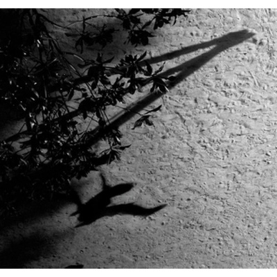 Max Richter - The Blue Notebooks CD