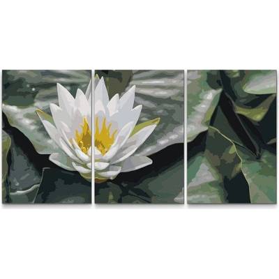 Painting Queens Painting Queens Lotos symbol moudrosti sada 3 ks 60 x 80 cm na rámu PBNSET/03LOTUSFLOWER/60 x 80_60 x 80_60 x 80/W