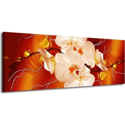Obraz bílá orchidej plátno 1 100x40