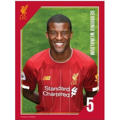 Tlačená fotografia Liverpool 15/20cm Wijnaldum