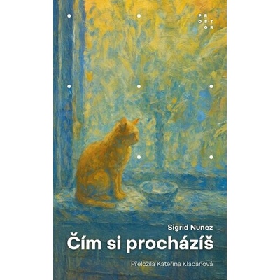 Čím si procházíš - Sigrid Nunez
