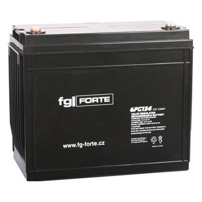 fgForte 12V 134Ah 6FG134