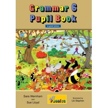 Grammar 6 Pupil Book