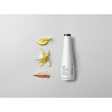 Shu Uemura Izumi Tonic posilující šampon 300 ml