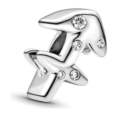 Pandora 798419C01