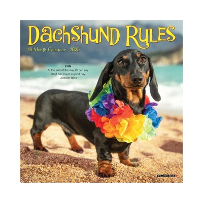 Dachshund Rules 7 X 7 Mini Wall 2026