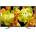 Sony Bravia KD-43XG8196B