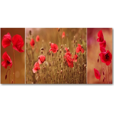 Foto obraz sklo tvrzené maky triptych 100x50 cm