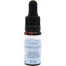 Delibutus Antibrouček 10 ml