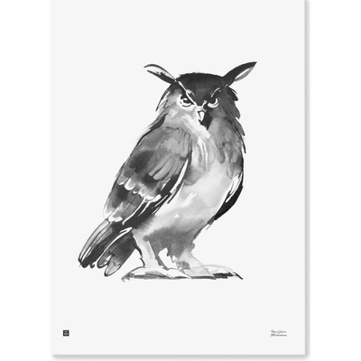 Teemu Järvi Plagát s motívom sovy Eagle Owl 50x70