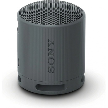 Sony SRS-XB100B