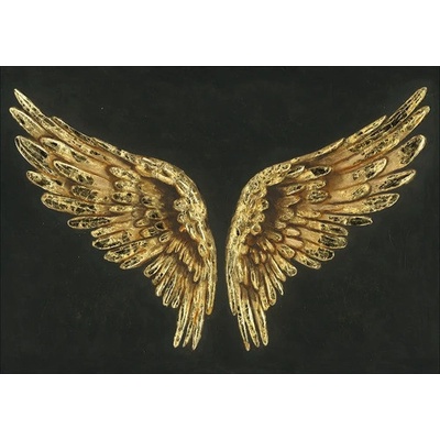 Ručne maľovaný obraz Golden Wings 70x100 cm