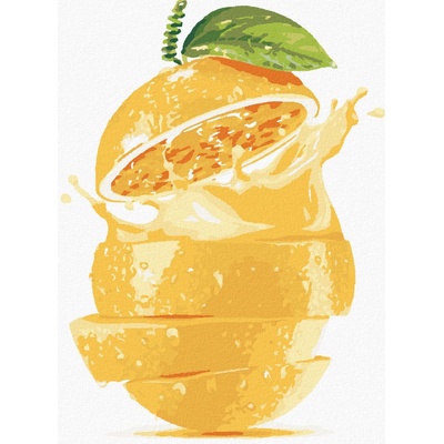 Malování podle čísel CITRON