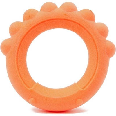 Wepet Frubba Scent Octo Ring 13 cm