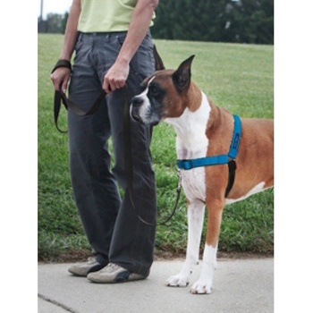 PetSafe Postroj EasyWalk Deluxe